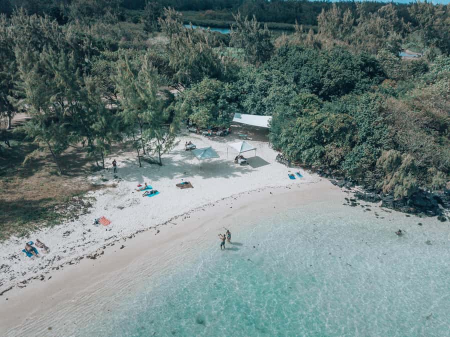 Mauritius: Speedboat Tour to Ile aux Cerfs with Lunch - From Chez Tino to the east-coast lagoon