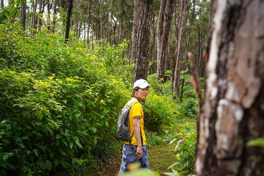 Mauritius: Sunrise Mountain Hike with Southwest Road-trip - Why the sunrise climb shapes the whole day