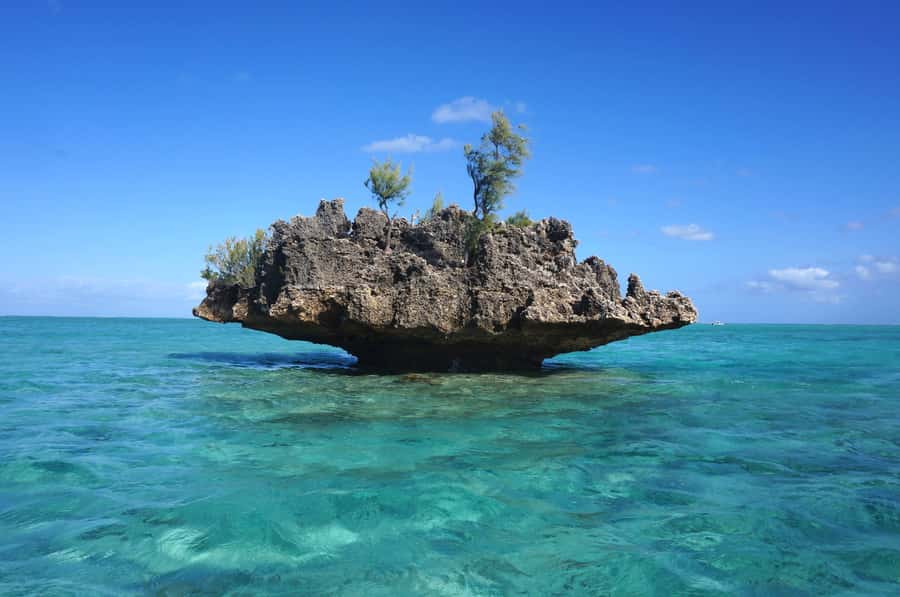 Mauritius: Swim with Dolphins Full-Day with Lunch/Drinks - Speeding along Mauritius’ west coast