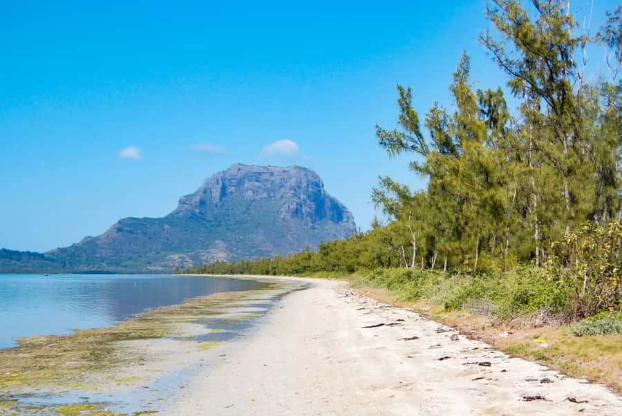 Mauritius: Swim with Dolphins Full-Day with Lunch/Drinks - Lunch and beach time on Île aux Bénitiers
