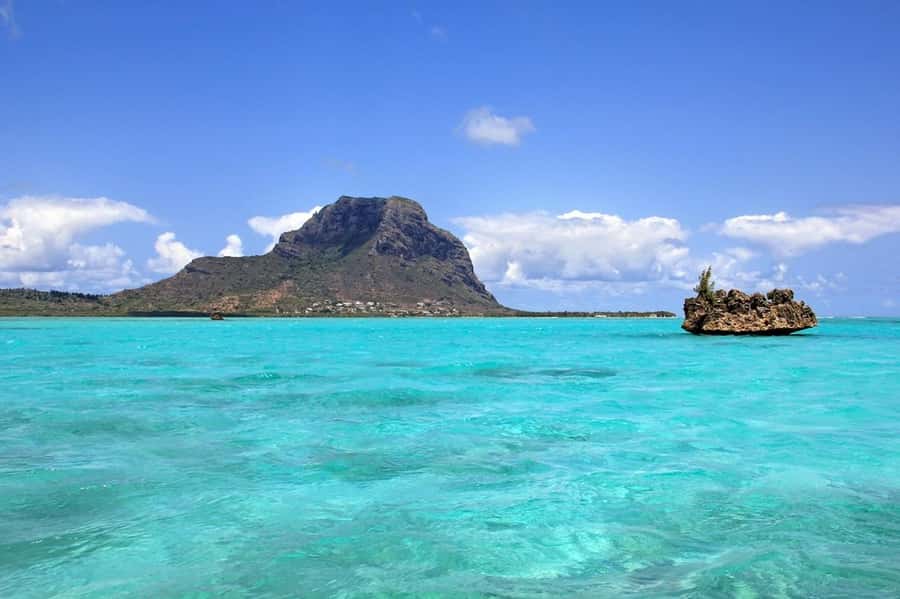 Mauritius: Swim with Dolphins Full-Day with Lunch/Drinks - Practical tips for a smoother morning