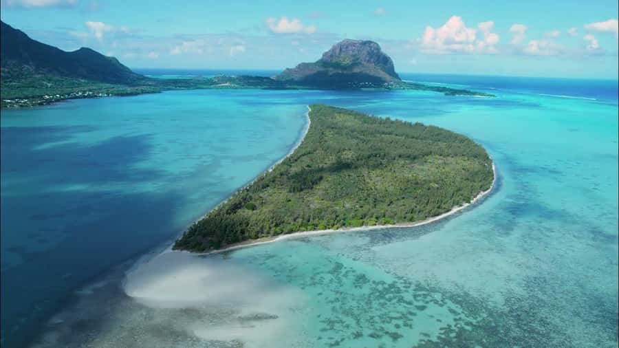 Mauritius: Swim with Dolphins Full-Day with Lunch/Drinks - Watching and swimming with wild dolphins