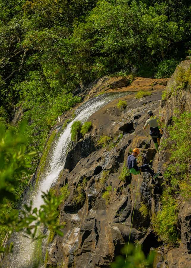 Mauritius: Tamarind Falls Canyoning Adventure - Is the $88 price good value?