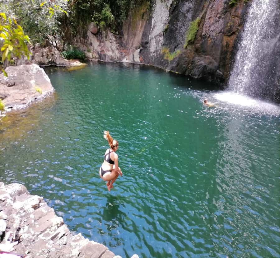 Mauritius: Tamarind Falls Guided Hike with Swim and Lunch - The first 40 minutes into the forest