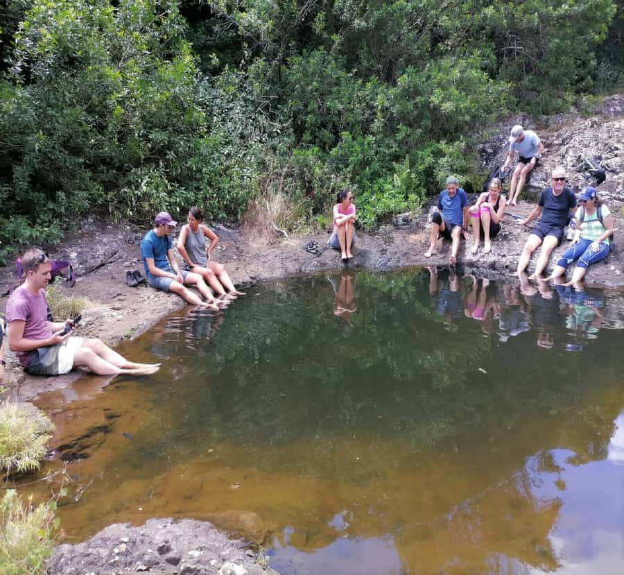 Mauritius: Tamarind Falls Guided Hike with Swim and Lunch - How hard is the Tamarind Falls hike?