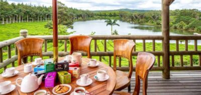 Tea and Sugar Plantation Guided Tour with Lunch
