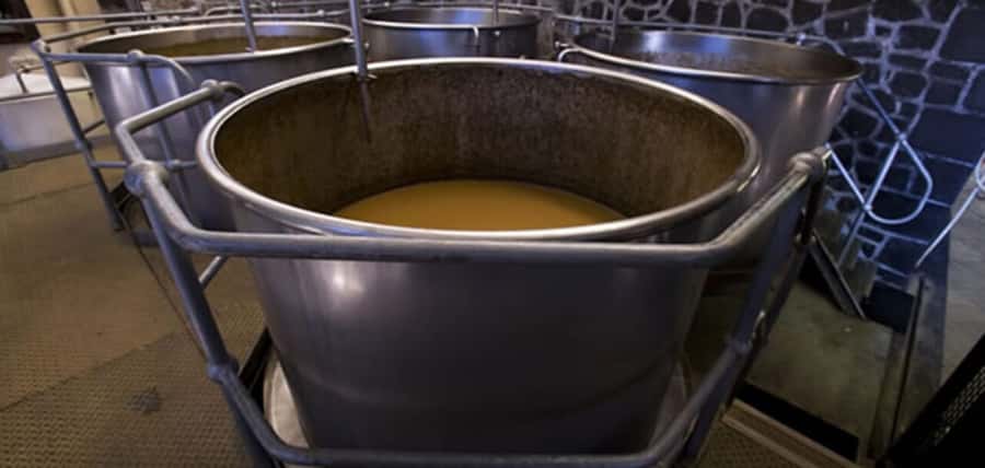 Mauritius: Tea and Sugar Plantation Guided Tour with Lunch - Price, private value, and who should book