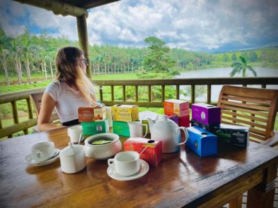 Tea, Rum and Vanilla Route with Lunch and Pickup