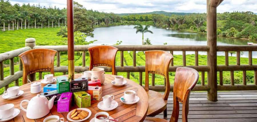 Mauritius: Tea, Rum and Vanilla Route with Lunch and Pickup - Saint Aubin, vanilla, rum and lunch