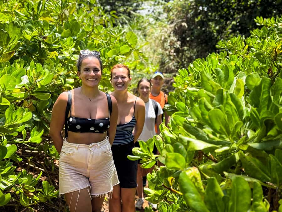Mauritius: The Wild South Hiking Tour with a Guide - La Roche Qui Pleure, where the basalt seems to weep