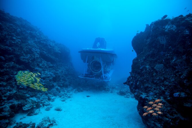 Mauritius Unique Submarine Tour - Why this submarine trip is different in Mauritius
