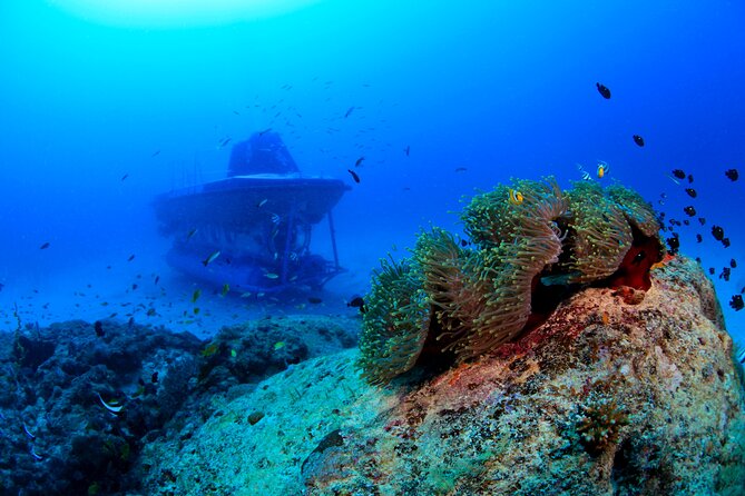 Mauritius Unique Submarine Tour - Starting at Trou-aux-Biches