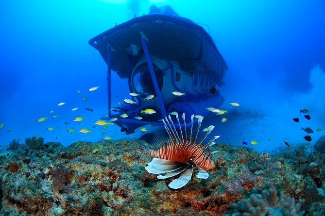 Mauritius Unique Submarine Tour - Timing, weather, and booking advice