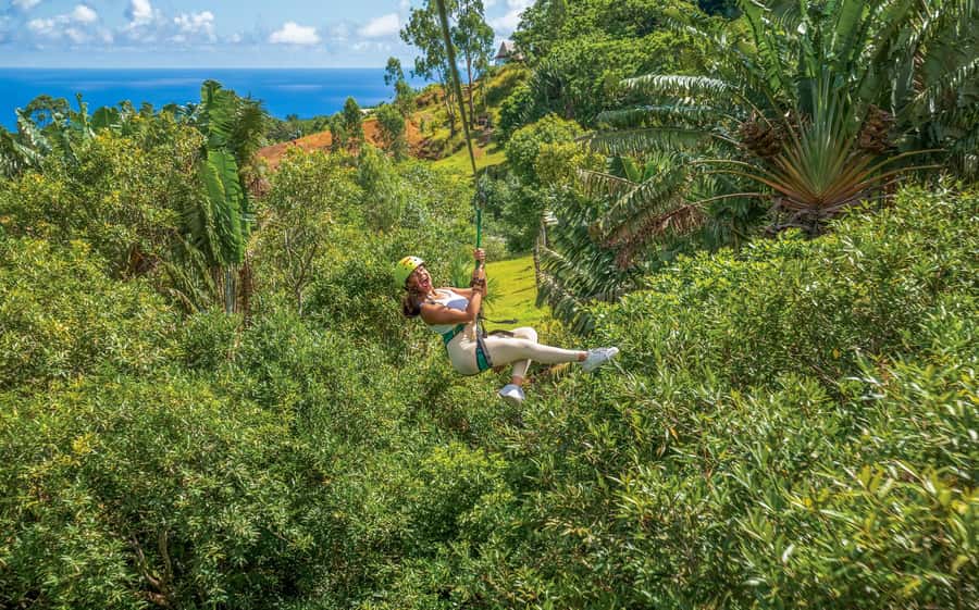 Mauritius: Vallé Advenature Park - Adventure Tour Zipline - Key points to know before you go