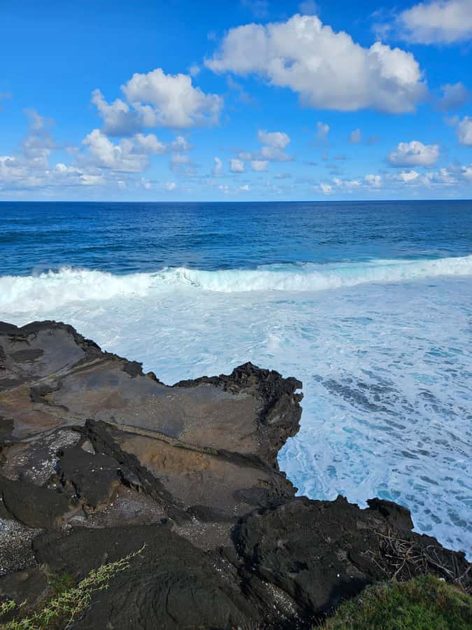 Mauritius: Vanilla Park & Beaches Tour with Extra Option - What the $135 price really covers