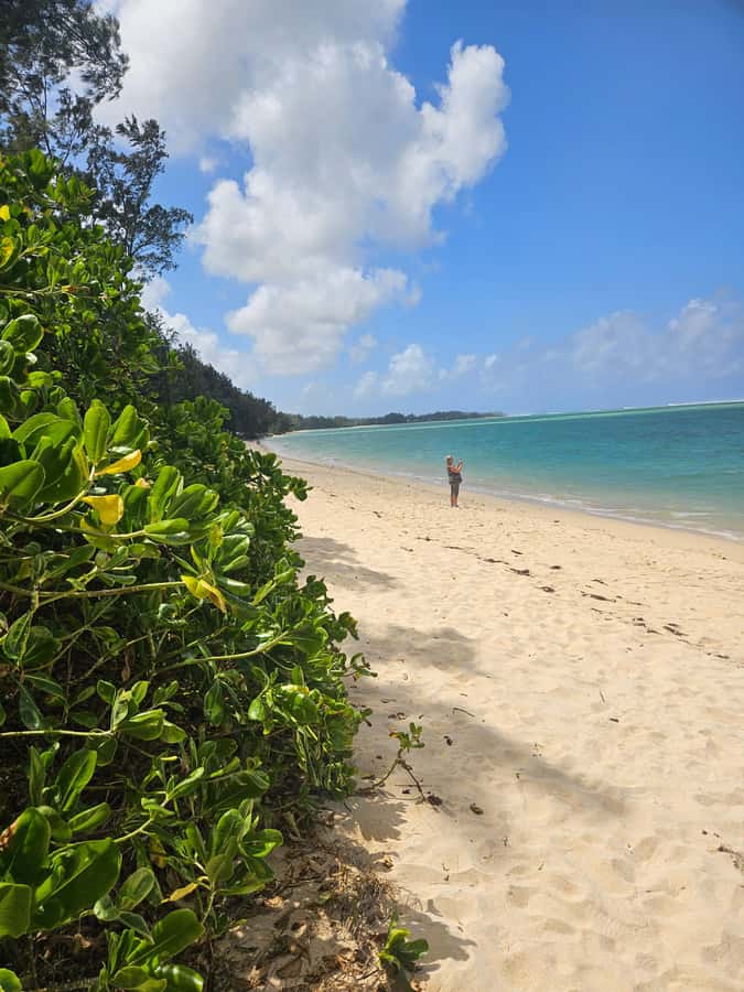 Mauritius: Vanilla Park & Beaches Tour with Extra Option - Guides, timing, and the small details that matter