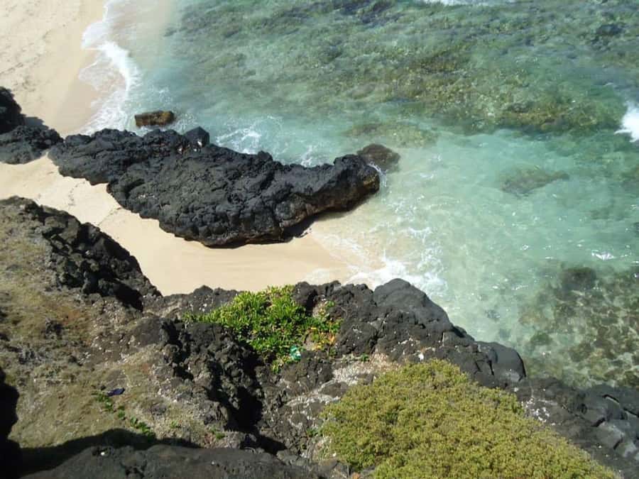 Mauritius: Vanilla Park & Beaches Tour with Extra Option - La Vanille Nature Park: crocodiles, tortoises, and plenty more