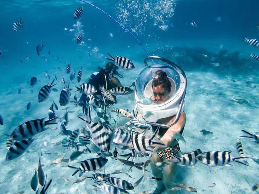 Mauritius: Watersport Adventure Day with Lunch and Pickup - Key points to know before booking