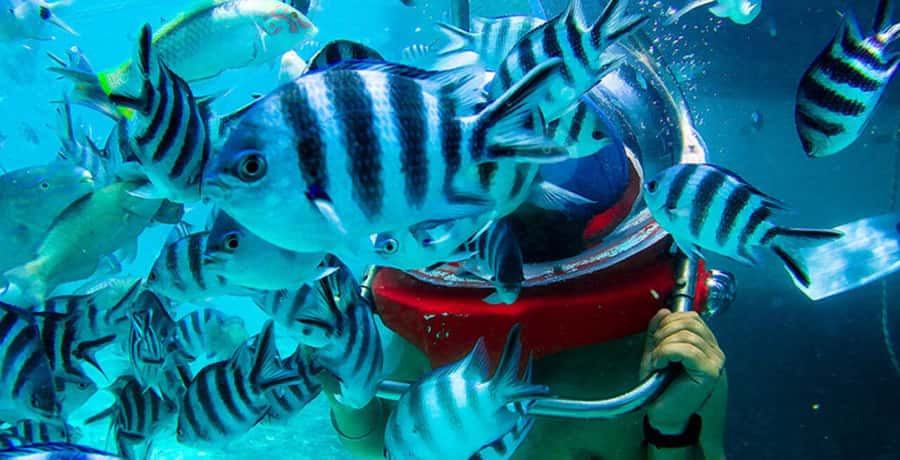 Mauritius: Watersport Adventure Day with Lunch and Pickup - Lunch and the practical rhythm of the day