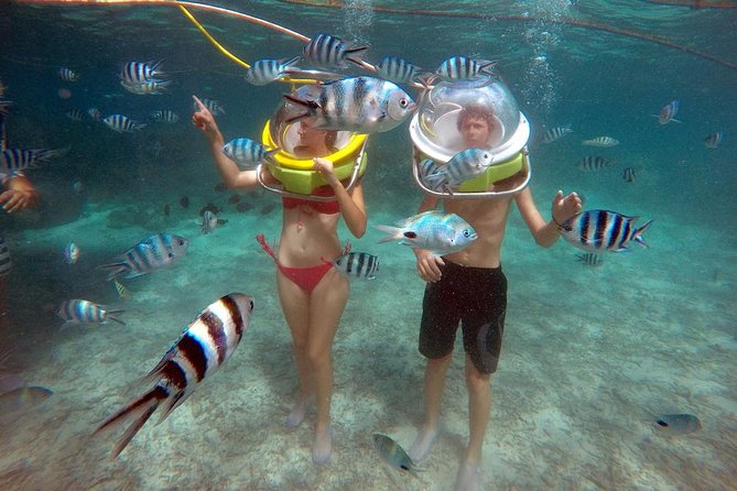 Mesmerizing Ile aux Cerf: Speed Boat, GRSE, Lunch & Undersea walk (Full Day) - A full day from hotel pickup to the east coast