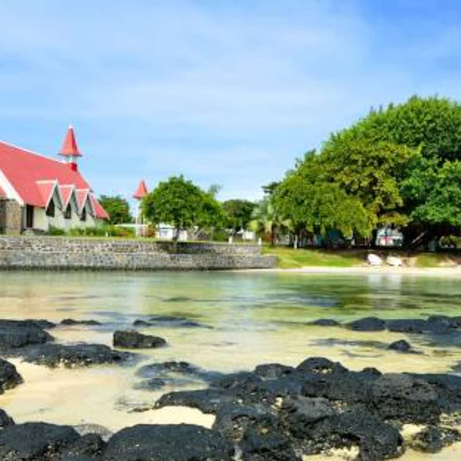 North Day Tour, Botanical Garden, Sugar Museum, Rum Tasting - Language, comfort, and practical limits