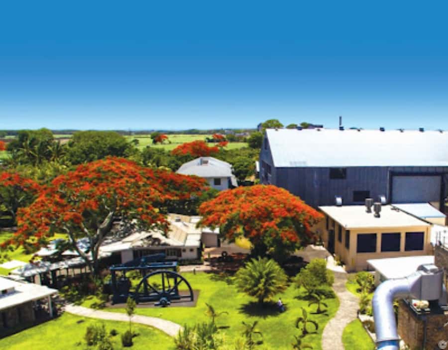 North Day Tour, Botanical Garden, Sugar Museum, Rum Tasting - Château de Labourdonnais and the sugar estate story