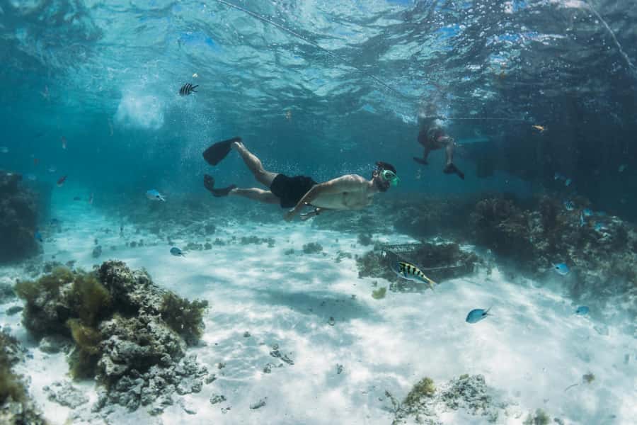 North East of Mauritius: Catamaran Cruise w/ BBQ Lunch - Bernaches Island From 1:00 pm