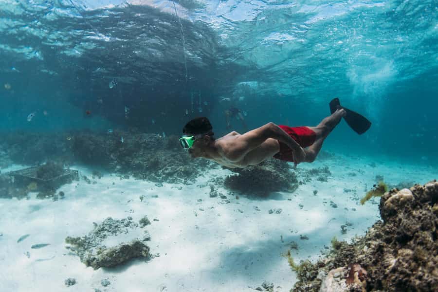 North East of Mauritius: Catamaran Cruise w/ BBQ Lunch - Who Will Enjoy This Mauritius Cruise?
