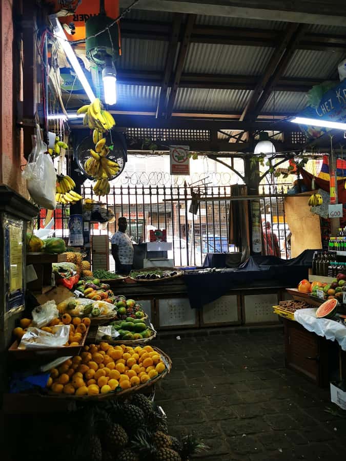 North Tour Of Mauritius With Street Food tasting - Ashley’s guiding style and tour flexibility
