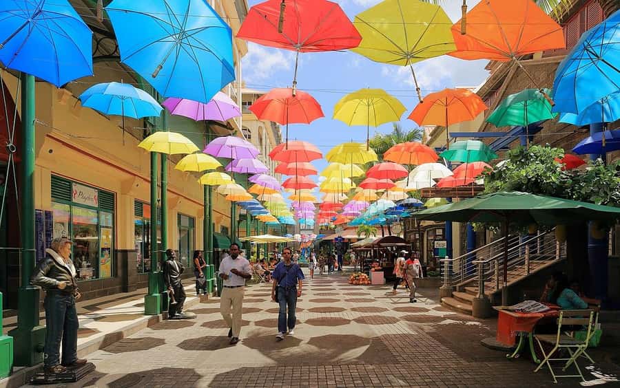 North Tour: Port Louis, Caudan, Citadelle, Botanical Garden - Port Louis Market and the sounds of daily life