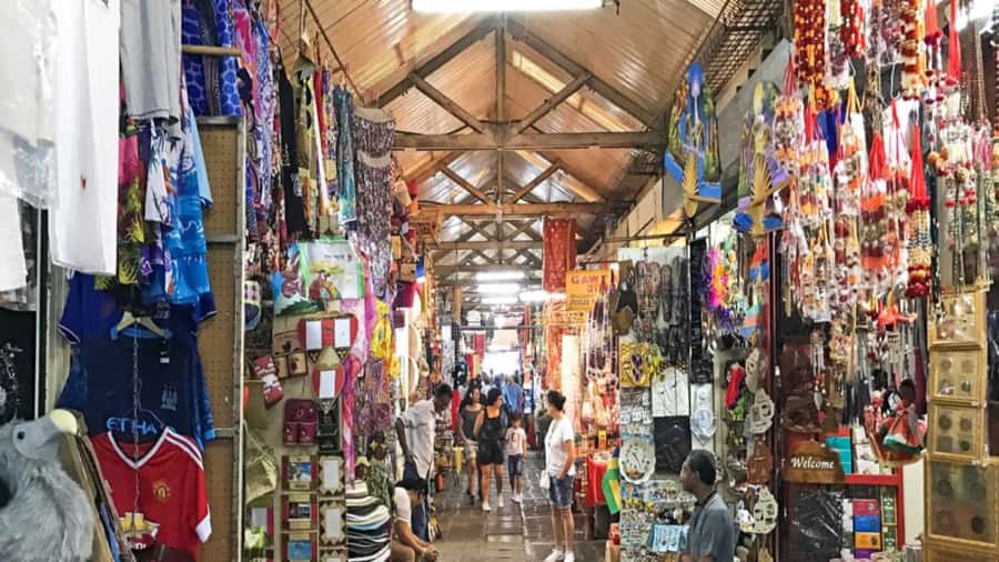 North Tour: Port Louis, Caudan, Citadelle, Botanical Garden - SSR Botanical Garden and its 90-minute walk