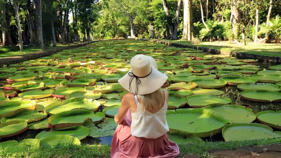 North Tour: Port Louis, Caudan, Citadelle, Botanical Garden - Caudan Waterfront: shops, food, and an easy start