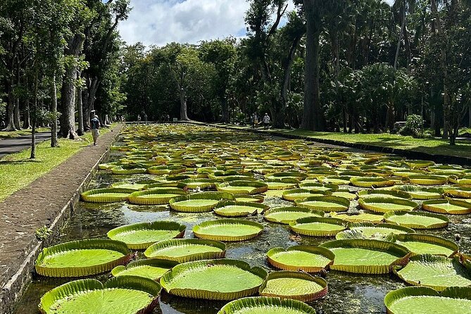 Northern Mauritius Private Tour w/ Port louis Market and Beaches - A smart way to see northern Mauritius in one day