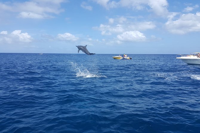 Ocean Swim with Dolphins - Crystal Rock and the view toward Le Morne