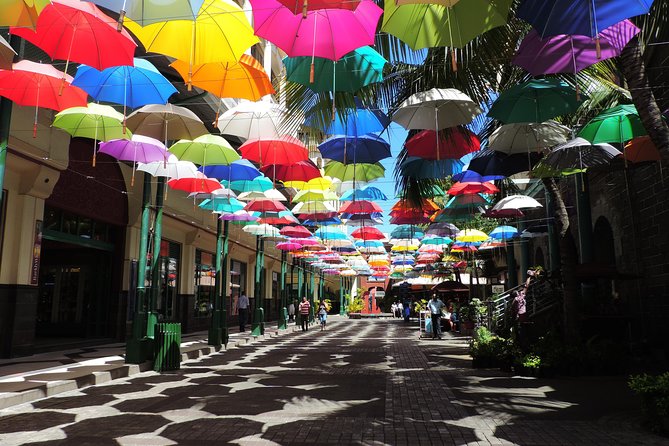 Port Louis and Pamplemousses Garden - A full day trip - Start with the garden, not the capital