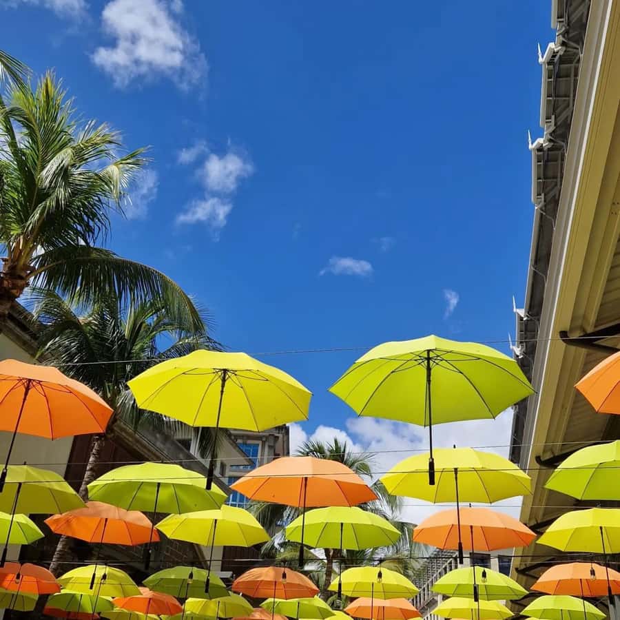 Port Louis: City Tour with Street Food Tasting - Fort Adelaide and Port Louis from above