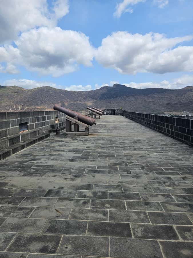 Port Louis: Mont Choisy, Botanical Garden, and Church Tour - Mont Choisy or Trou aux Biches for a short beach break