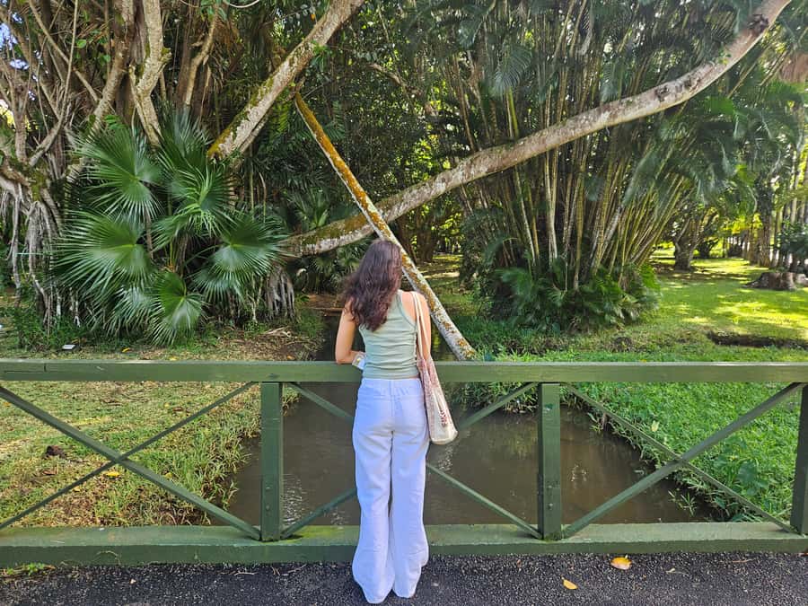 Port Louis: Mont Choisy, Botanical Garden, and Church Tour - What the private driver-guide adds