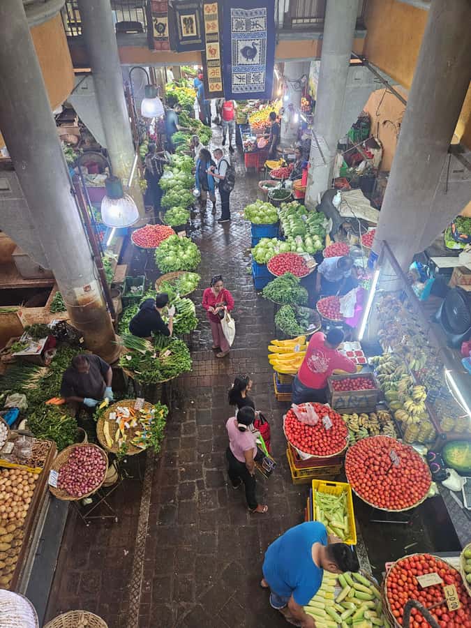 Port Louis: Mont Choisy, Botanical Garden, and Church Tour - How to make the day work better