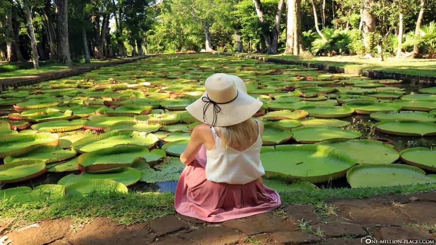 Port Louis: Northern Treasures Private Tour - Key points at a glance