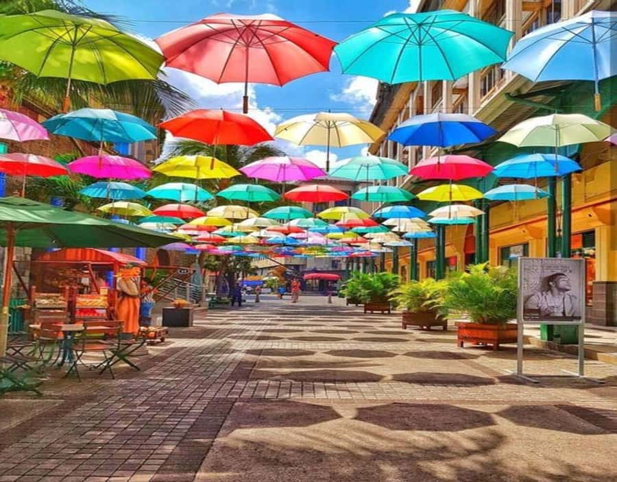 Port Louis: Northern Treasures Private Tour - Port Louis from Fort Adelaide
