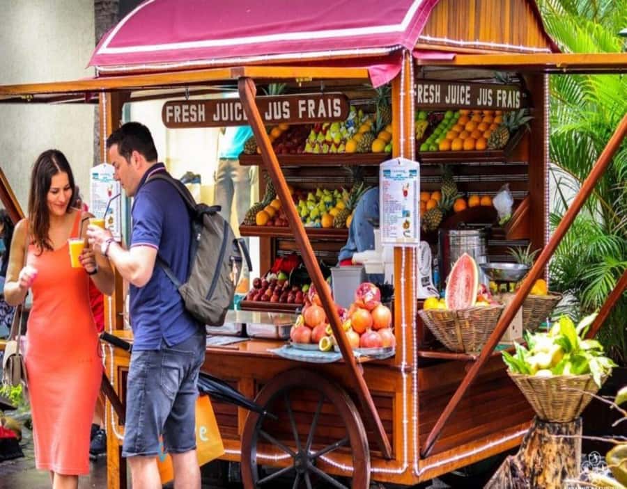 Port Louis: Northern Treasures Private Tour - Who will get the most from this tour