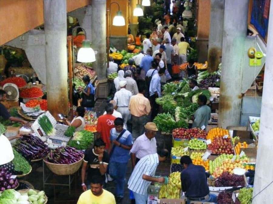 Port Louis: Private Guided Sightseeing Tour - Seven hours, pickup, and group size