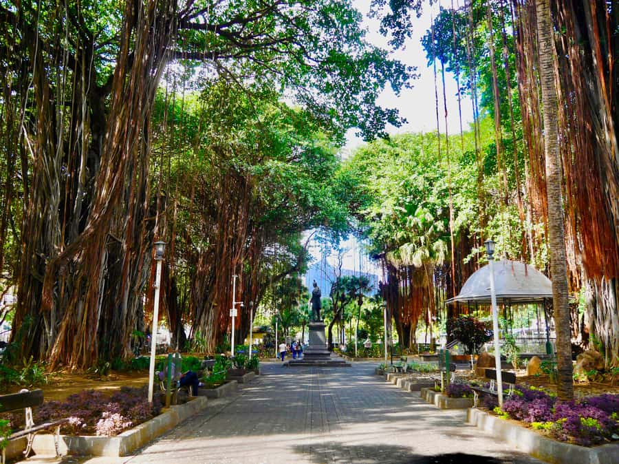 Port Louis: Street Eats and City Highlights Walking Tour - Starting beside the Caudan Arts Centre