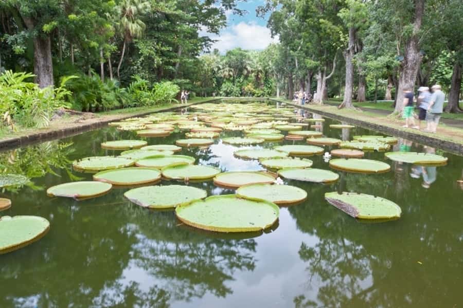 Private All Inclusive North Tour with Lunch & Entrance Fees - L’Aventure du Sucre turns sugar into island history