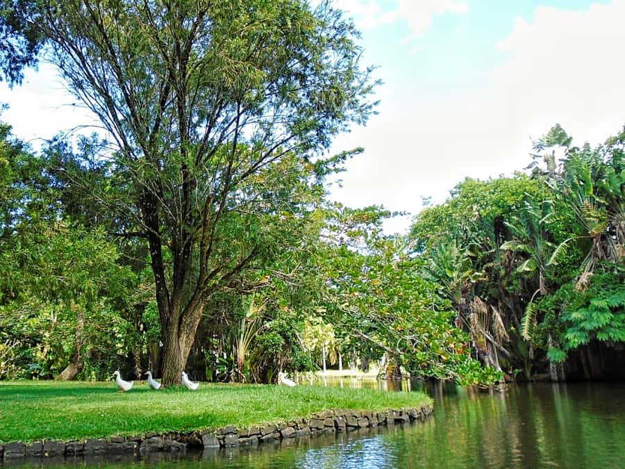 Private All Inclusive North Tour with Lunch & Entrance Fees - Pamplemousses Garden and its giant water lilies