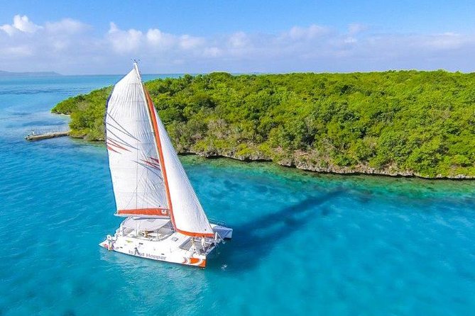 Private Charter Full Day Cruise: Île aux Cerfs - Île aux Cerfs, beach time with choices