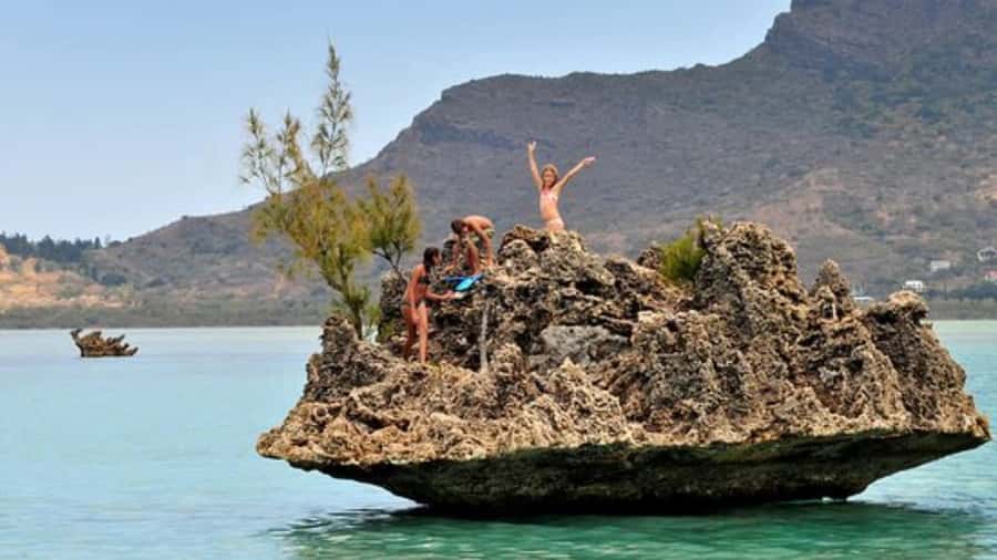 Private Dolphin Swim/Snorkeling & Lunch on Benitiers island - Key details at a glance