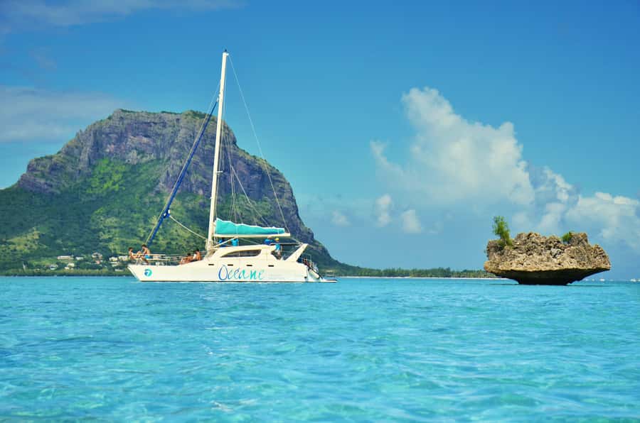 Private Dolphin Swim/Snorkeling & Lunch on Benitiers island - A private day from Mauritius to the open sea