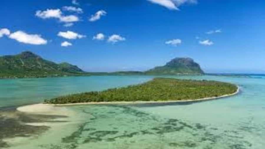 Private Dolphin Swim/Snorkeling & Lunch on Benitiers island - Weather, timing, and comfort